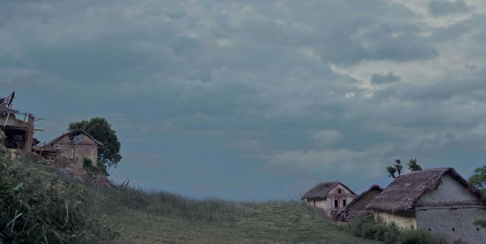 Beneath the Barren