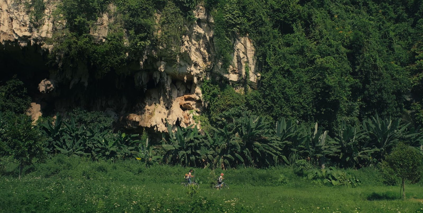 In the Valley