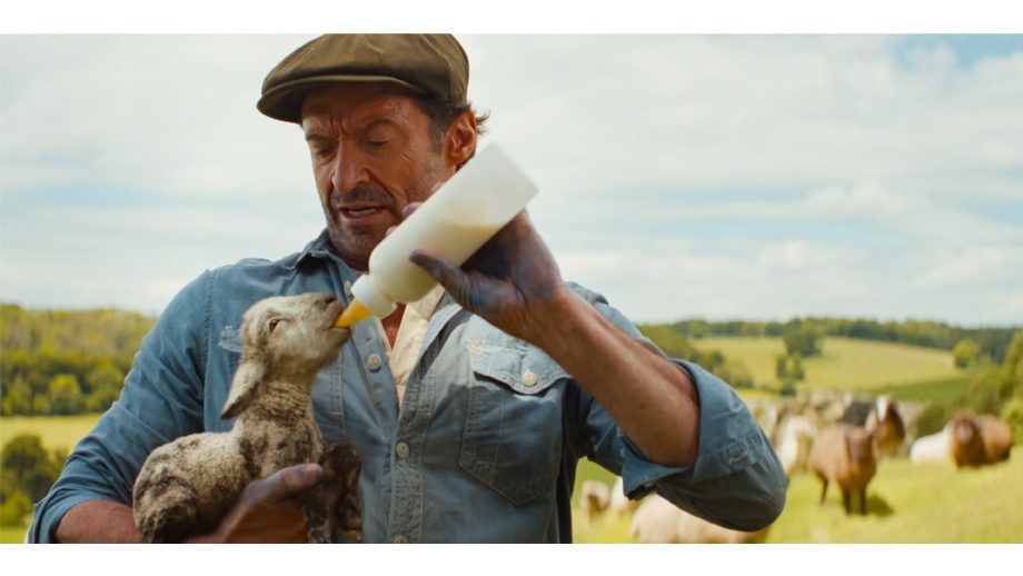 The Sheep Detectives