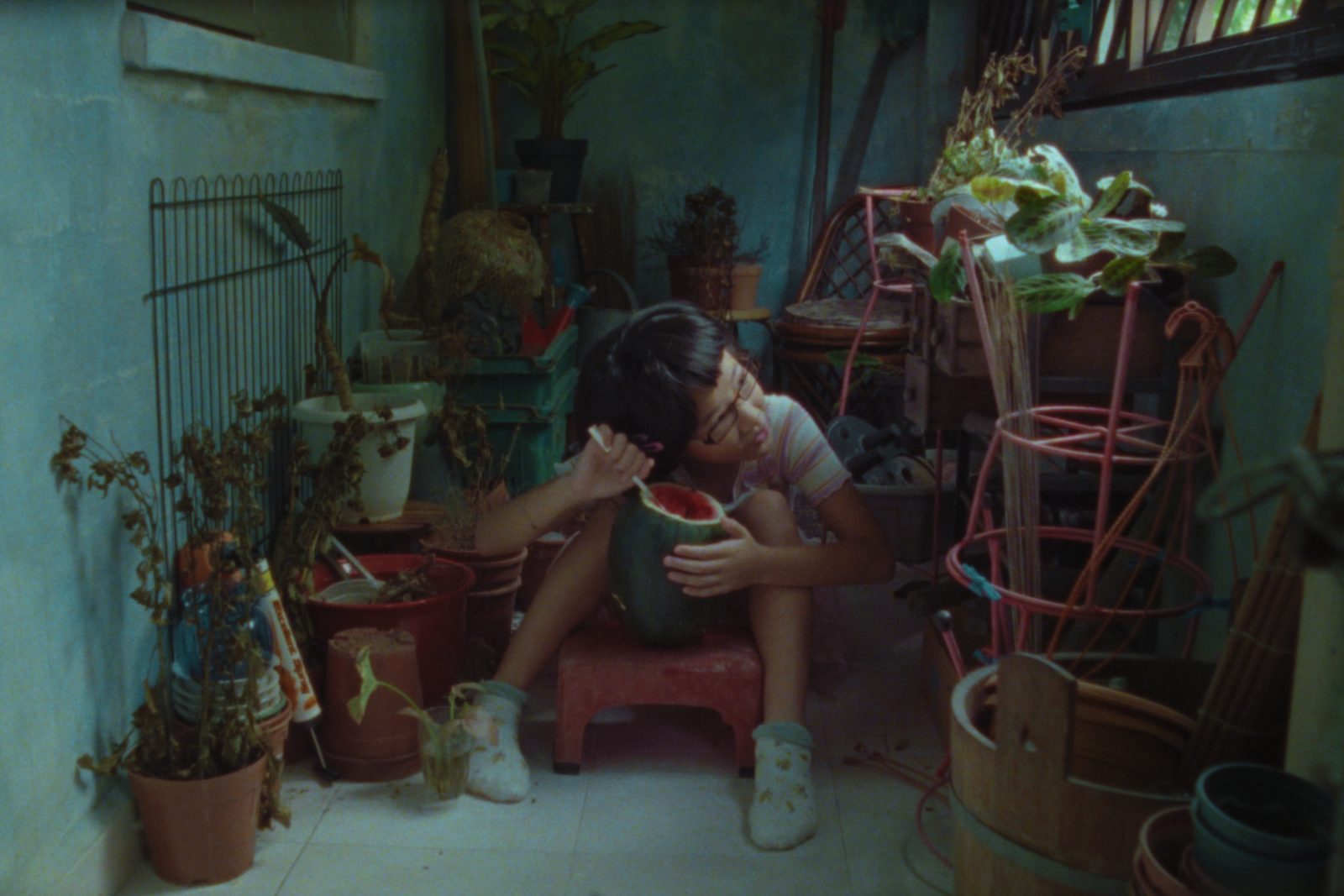 Hour of the Flower