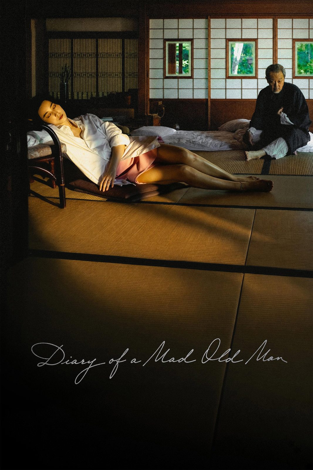 Diary of a Mad Old Man film poster
