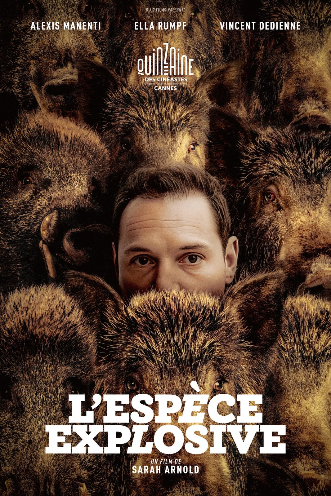 Too Many Beasts film poster