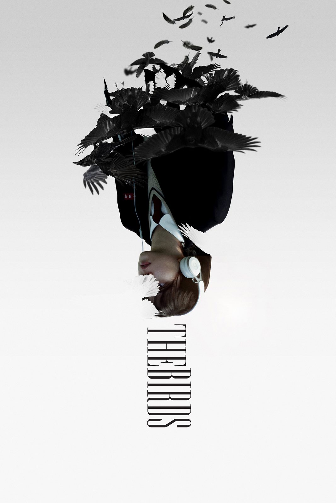 The Birds film poster
