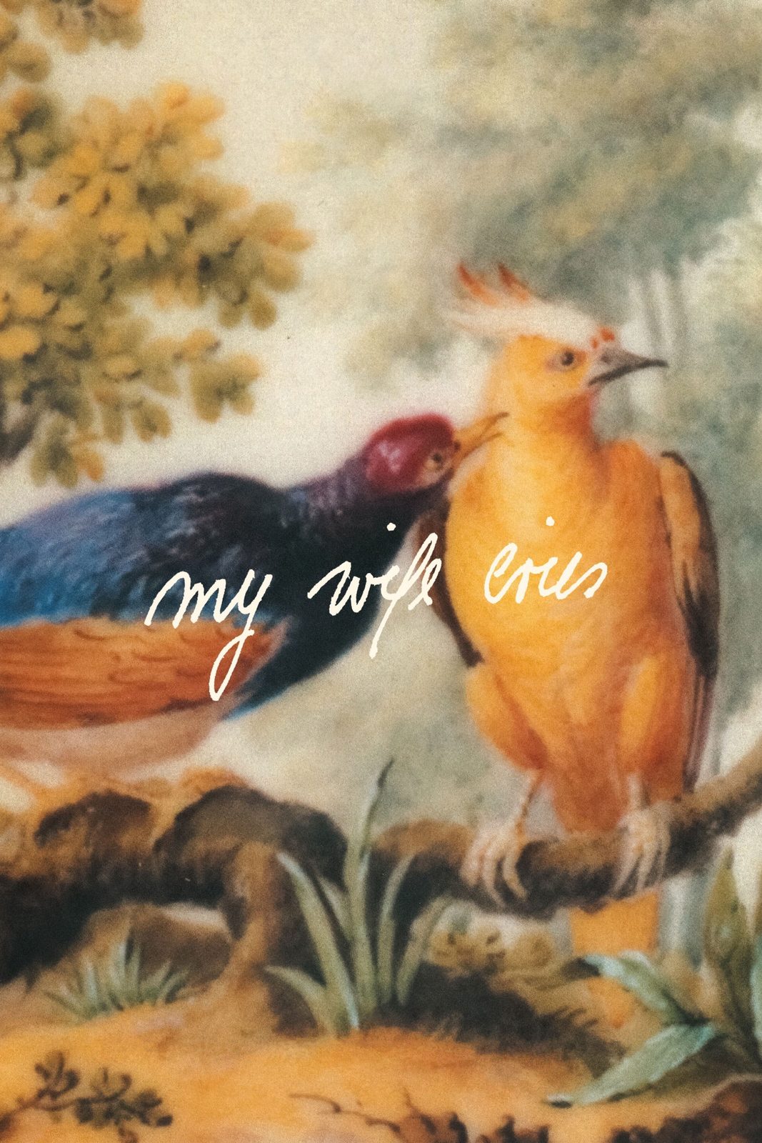 My Wife Cries film poster