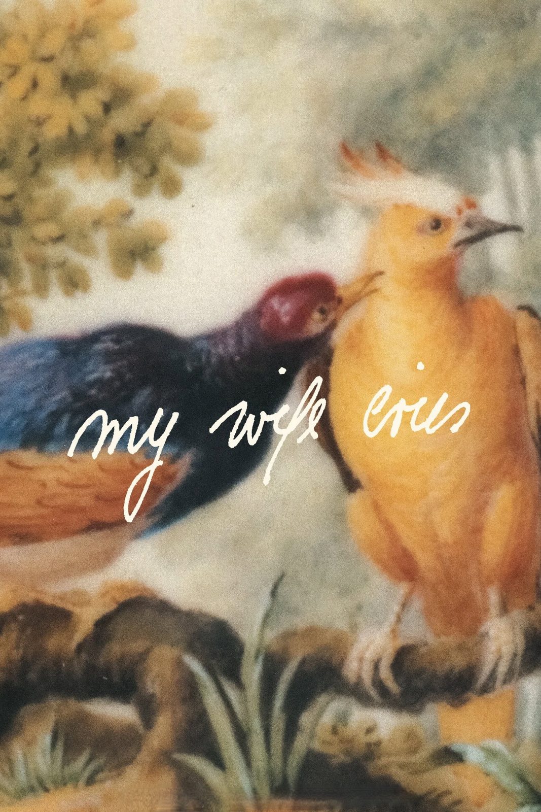 My Wife Cries