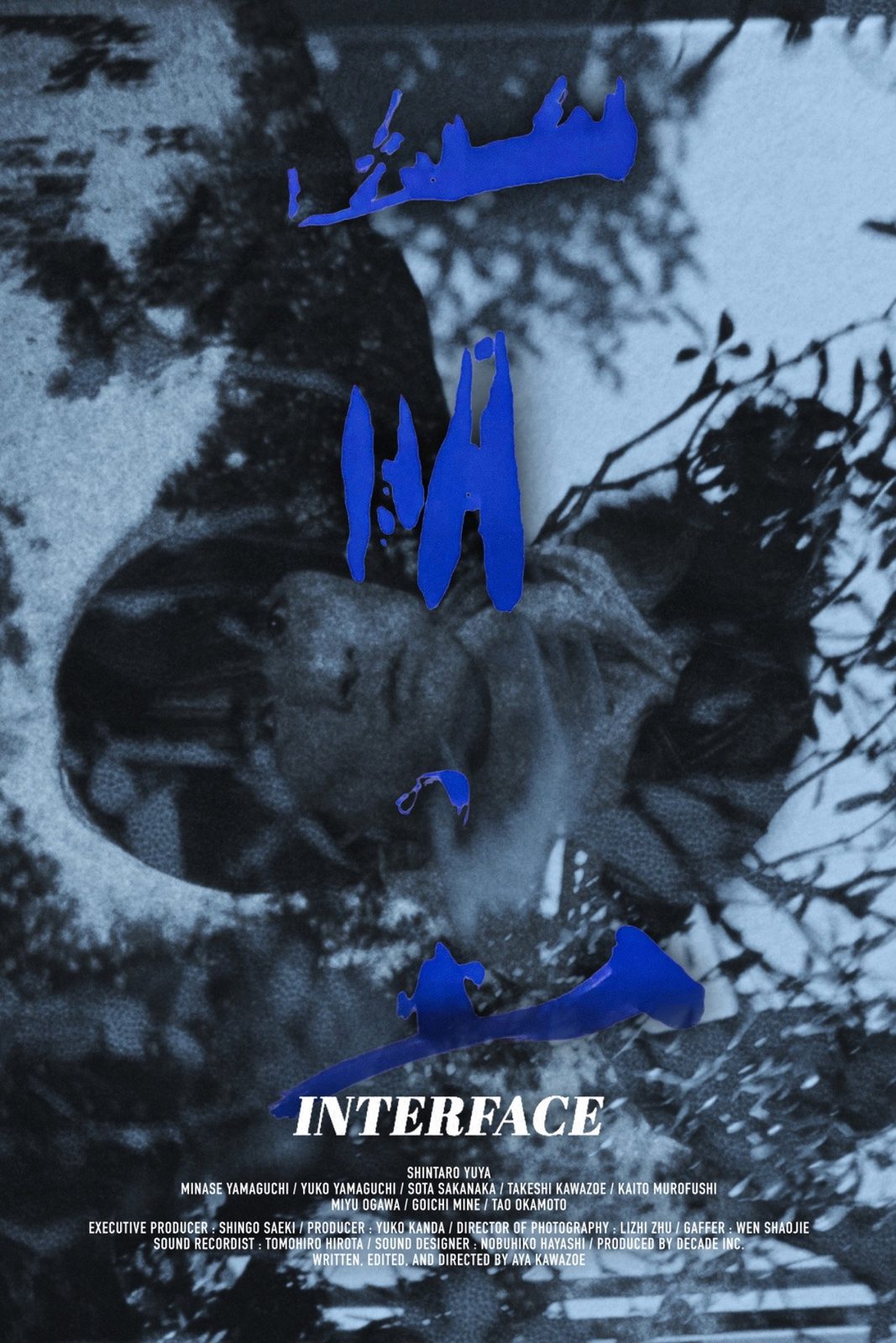 INTERFACE film poster