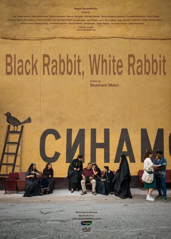 Black Rabbit, White Rabbit电影海报