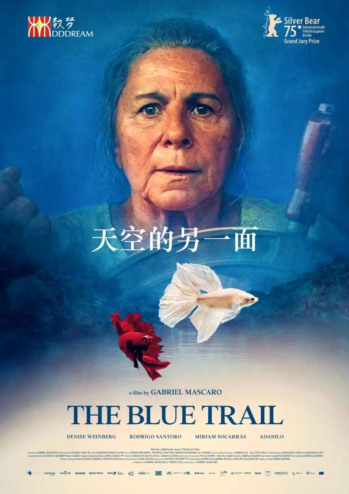 The Blue Trail