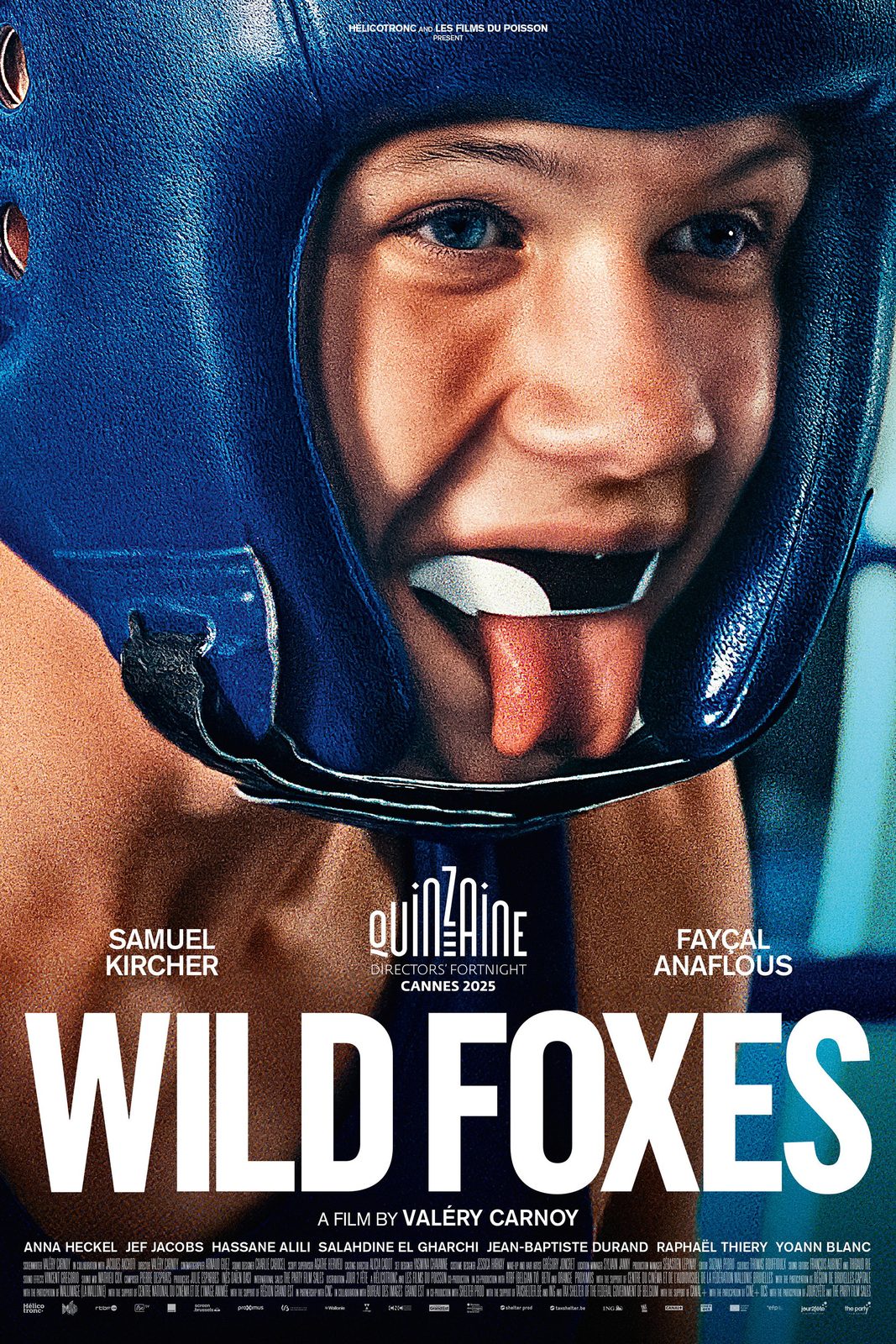 Wild Foxes film poster