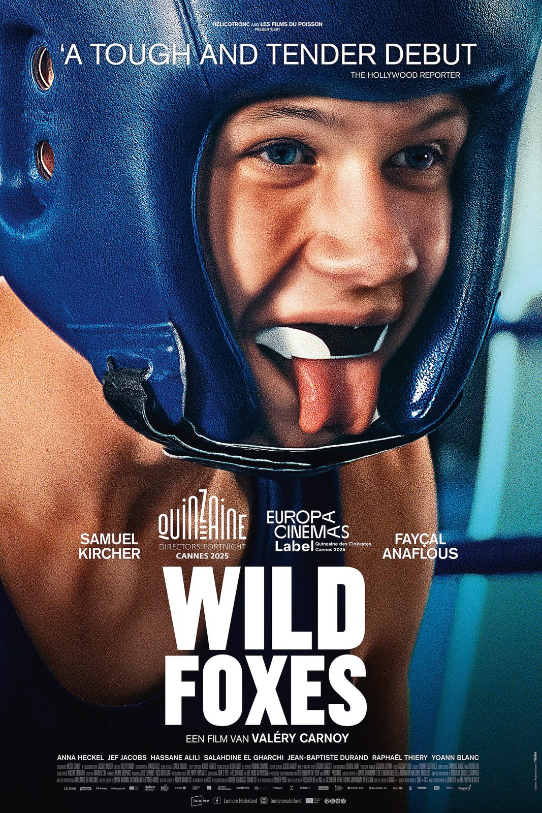 Wild Foxes