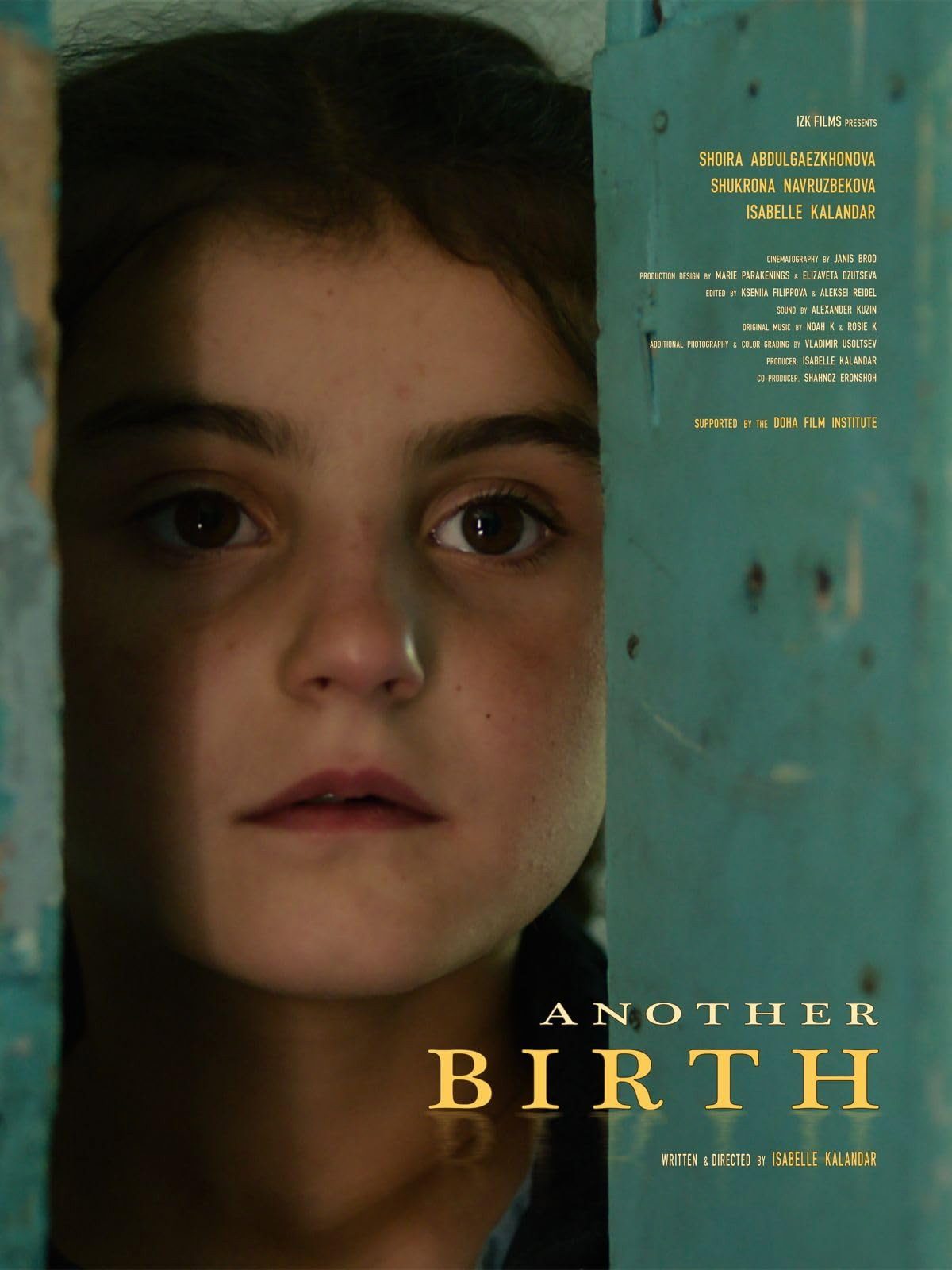 Another Birth film poster
