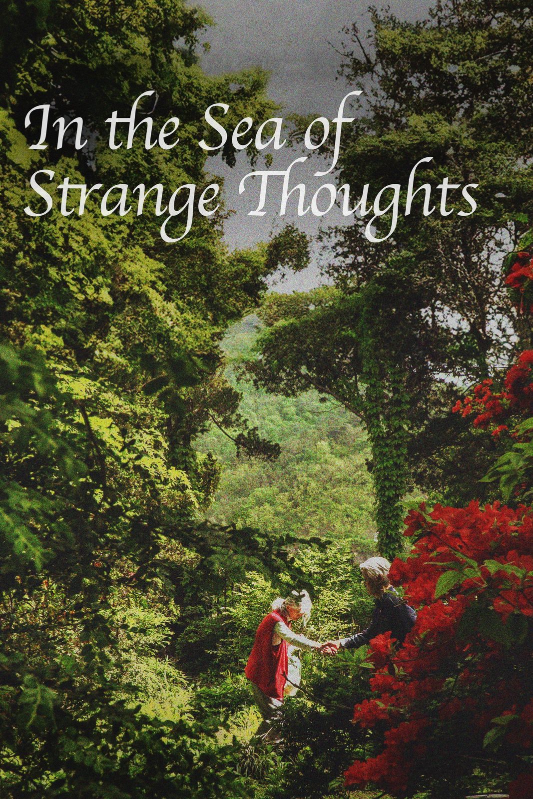 In the Sea of Strange Thoughts film poster