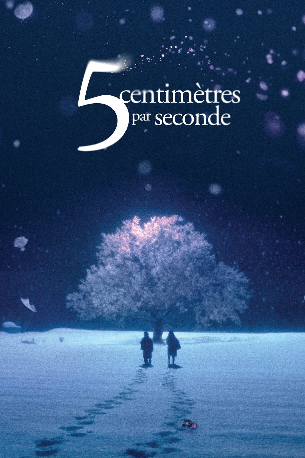 5 Centimeters Per Second