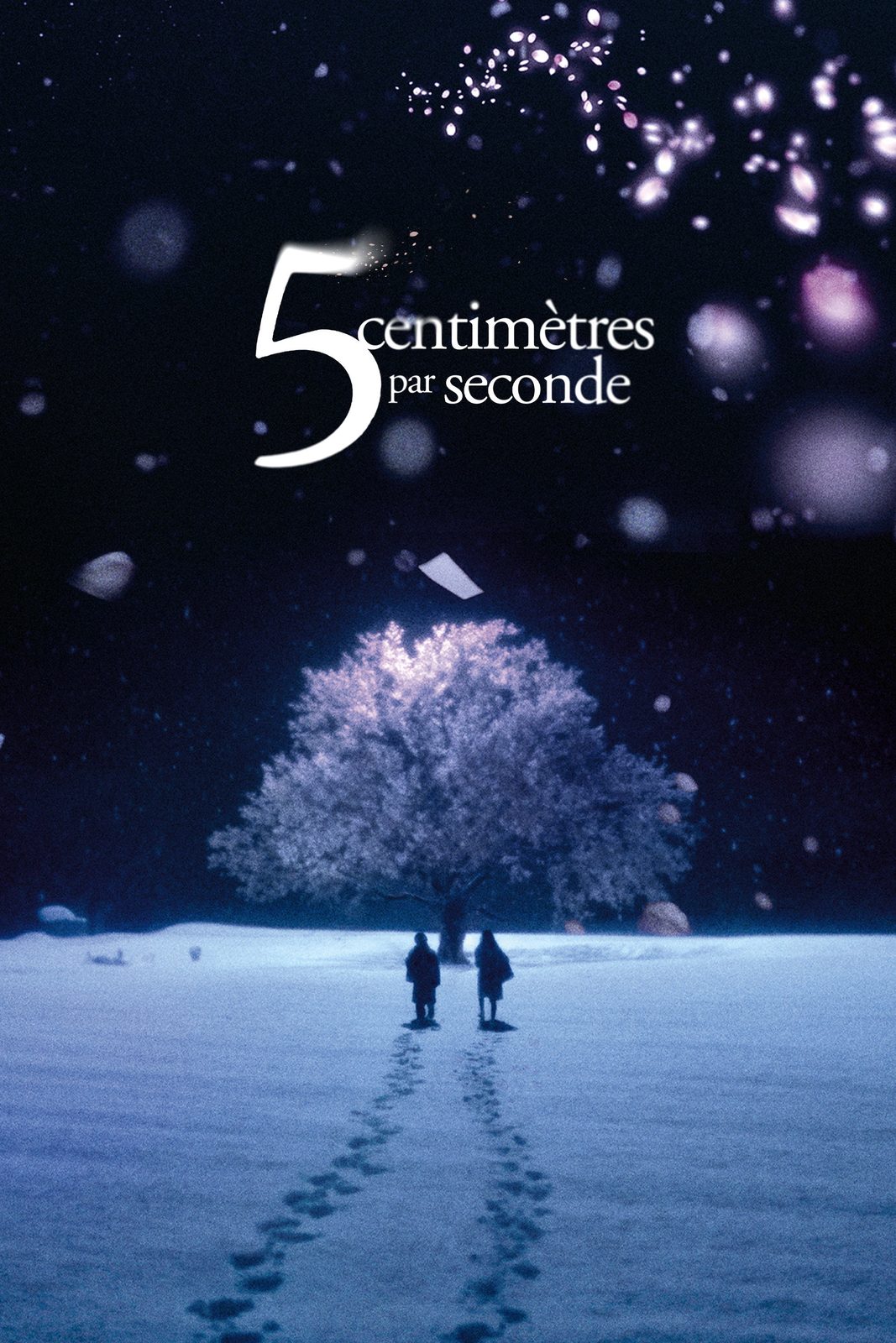 5 Centimeters Per Second