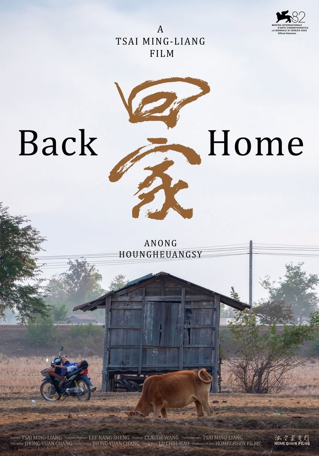 Back Home film poster
