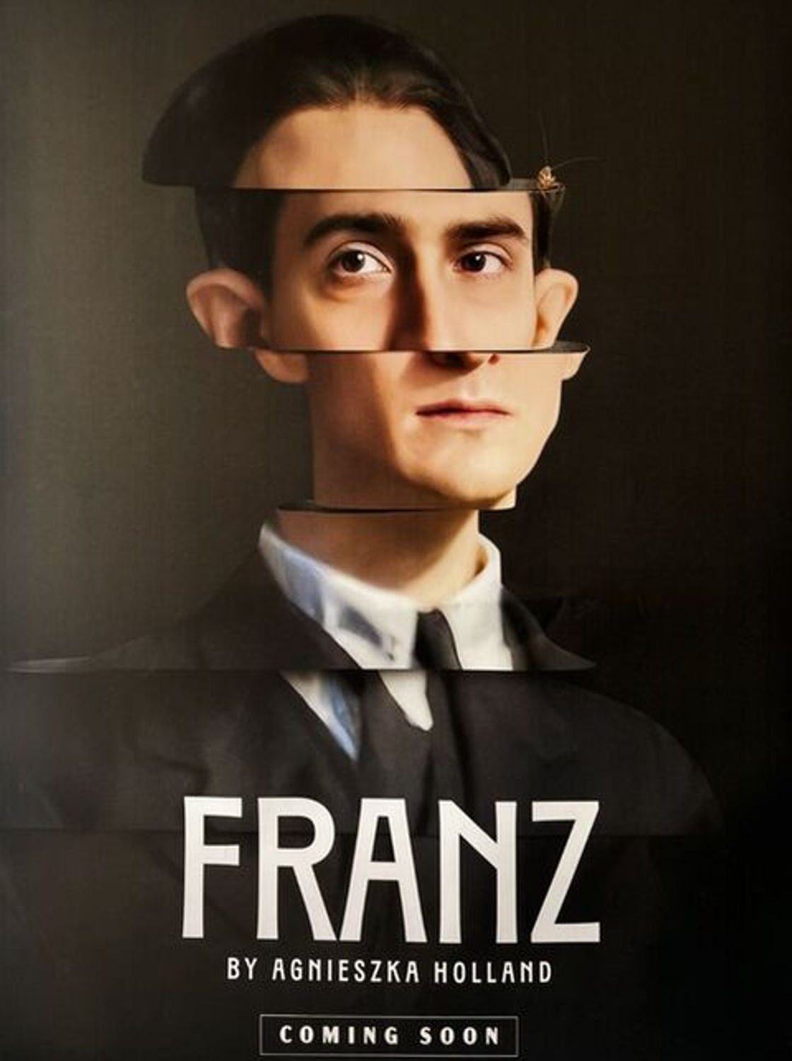 Franz film poster