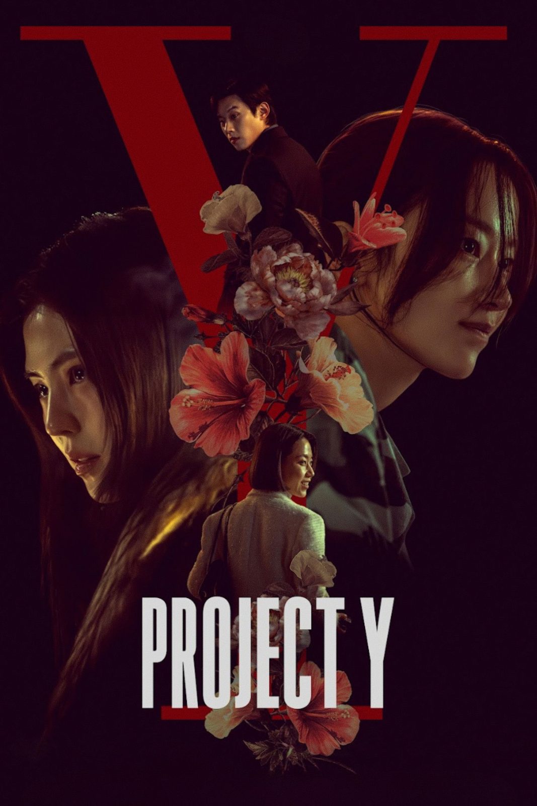 Project Y film poster