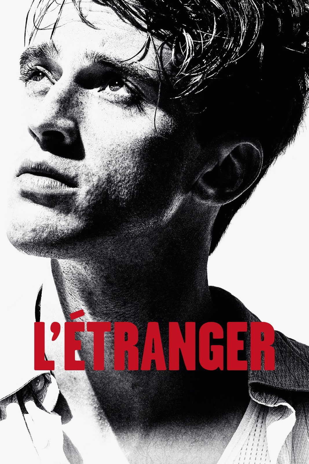 The Stranger