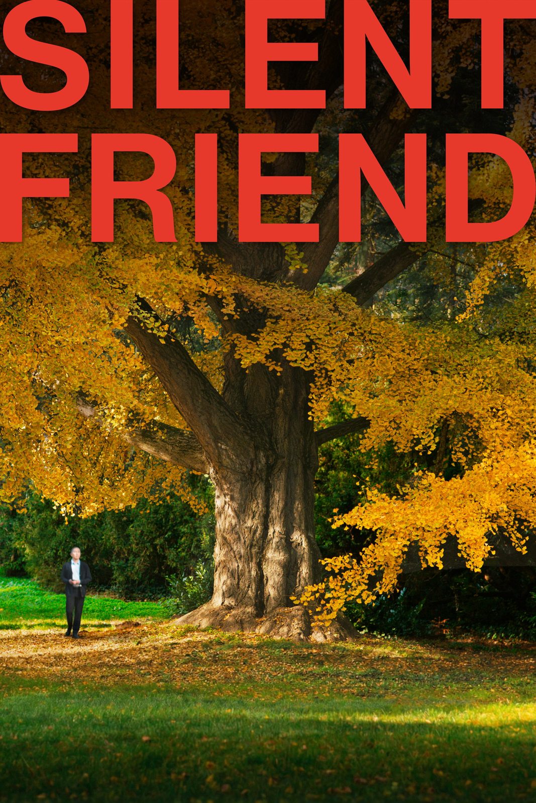 Silent Friend film poster