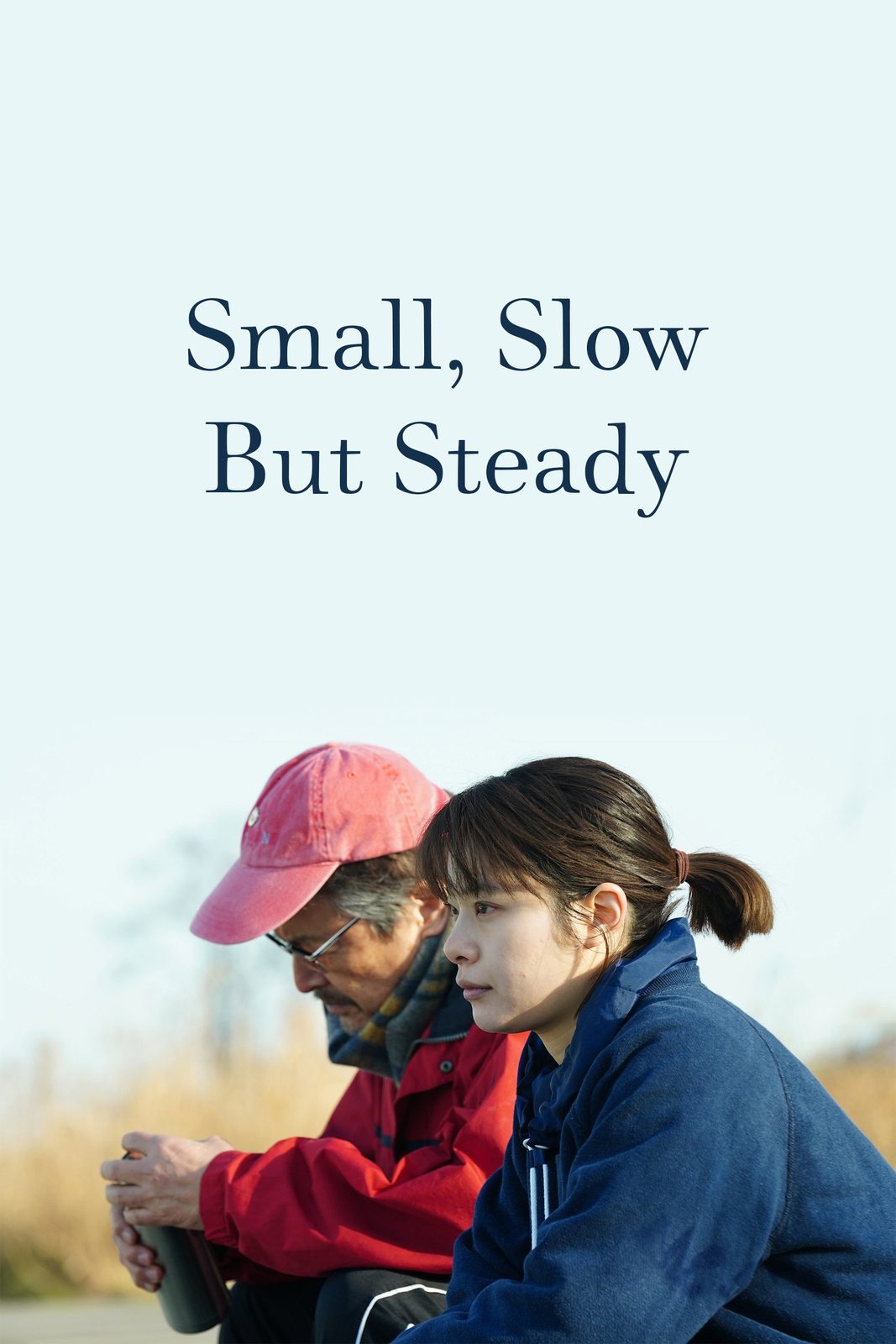 Small, Slow but Steady film poster