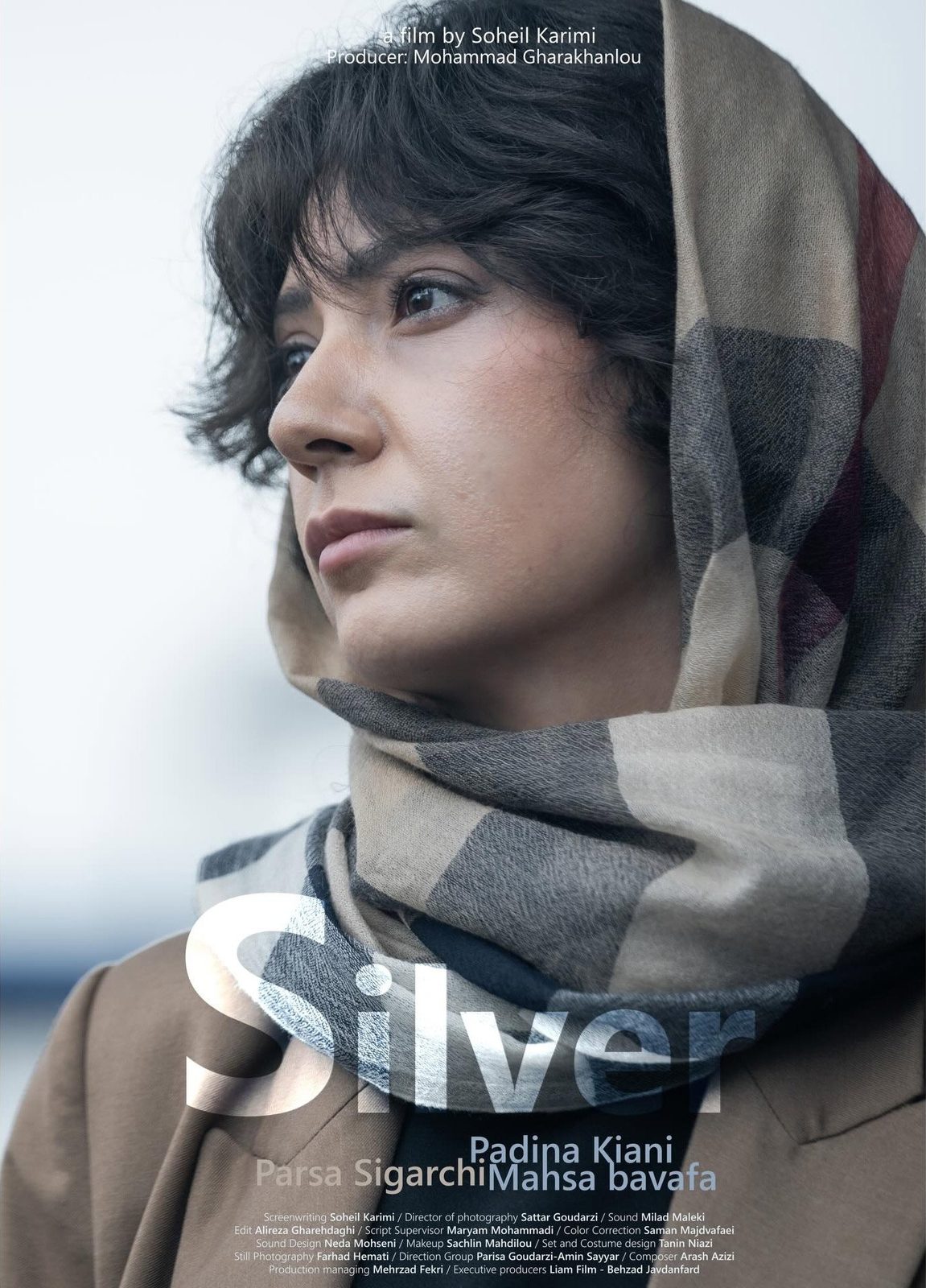 Silver电影海报