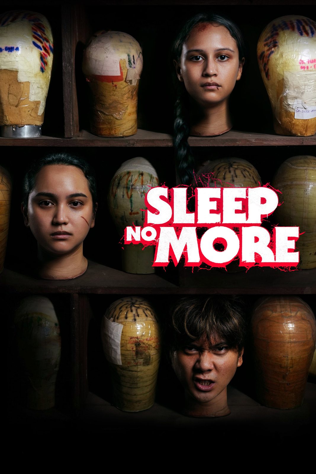 Sleep No More film poster
