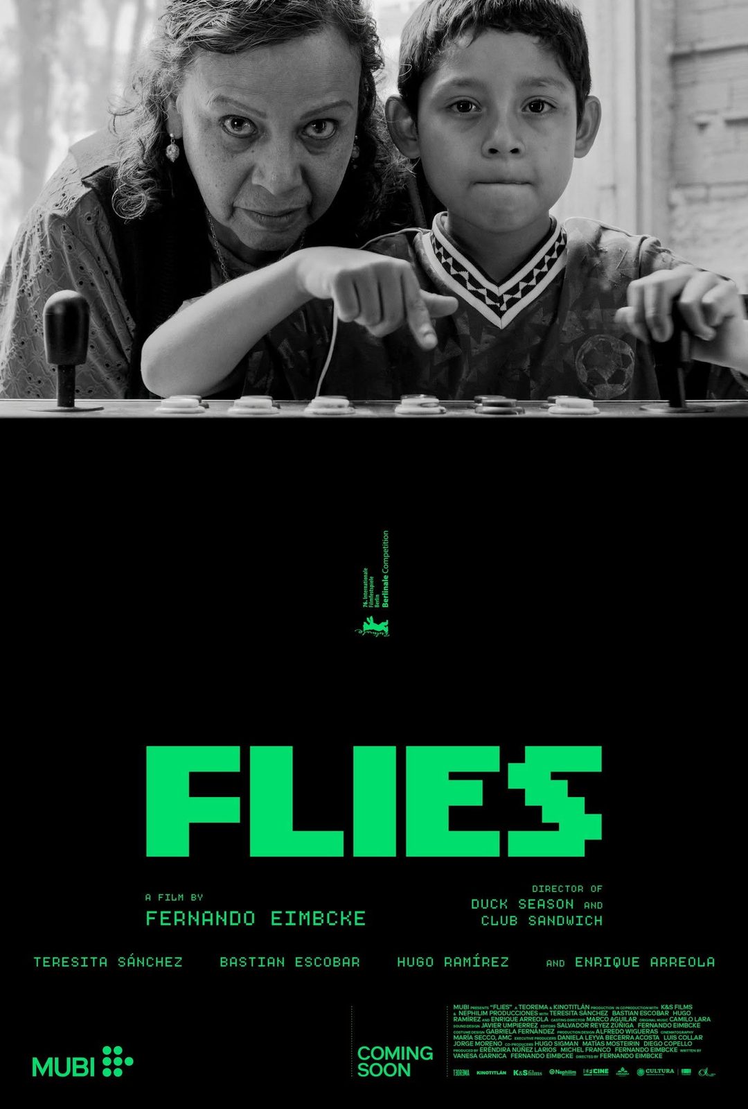 Flies