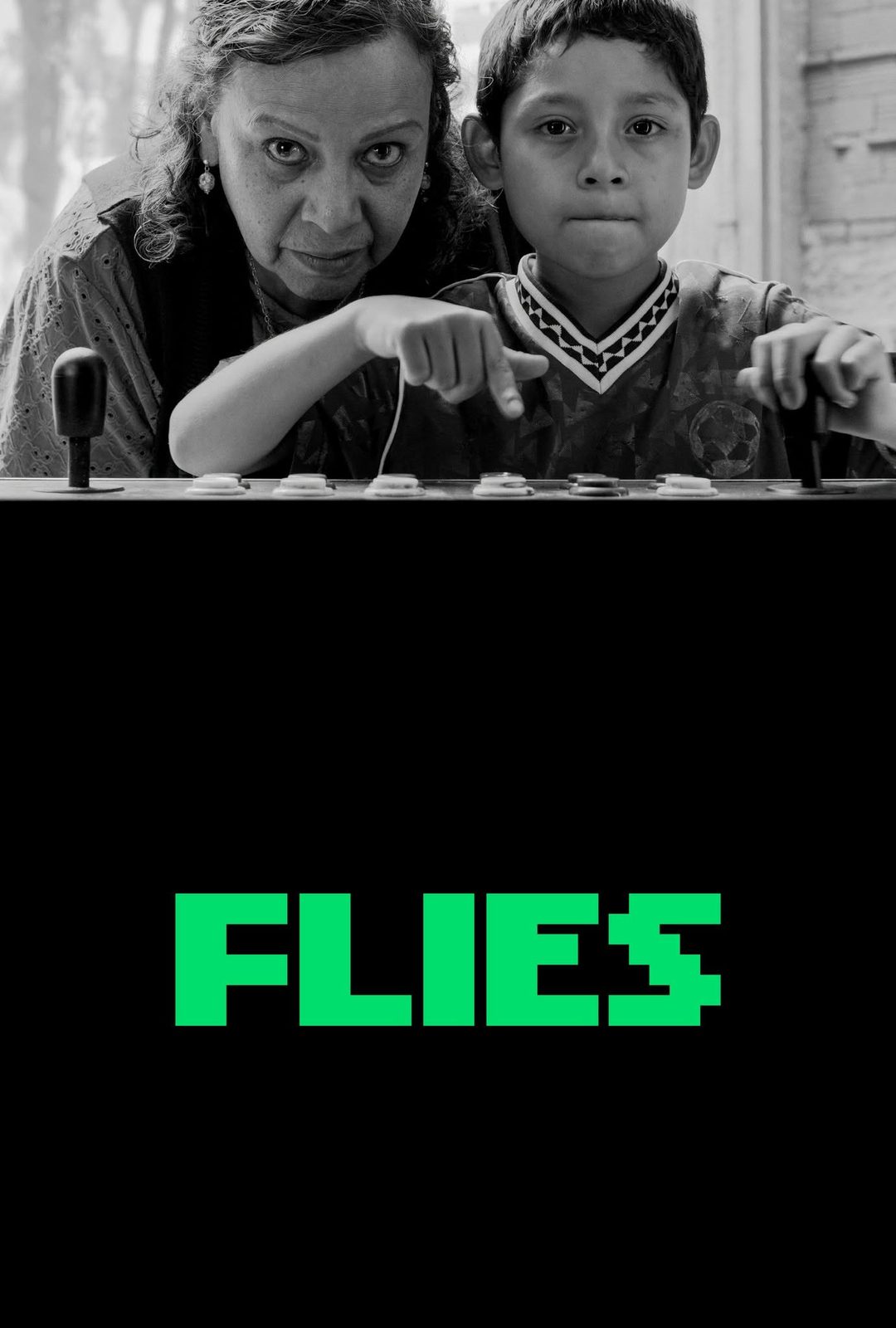 Flies film poster
