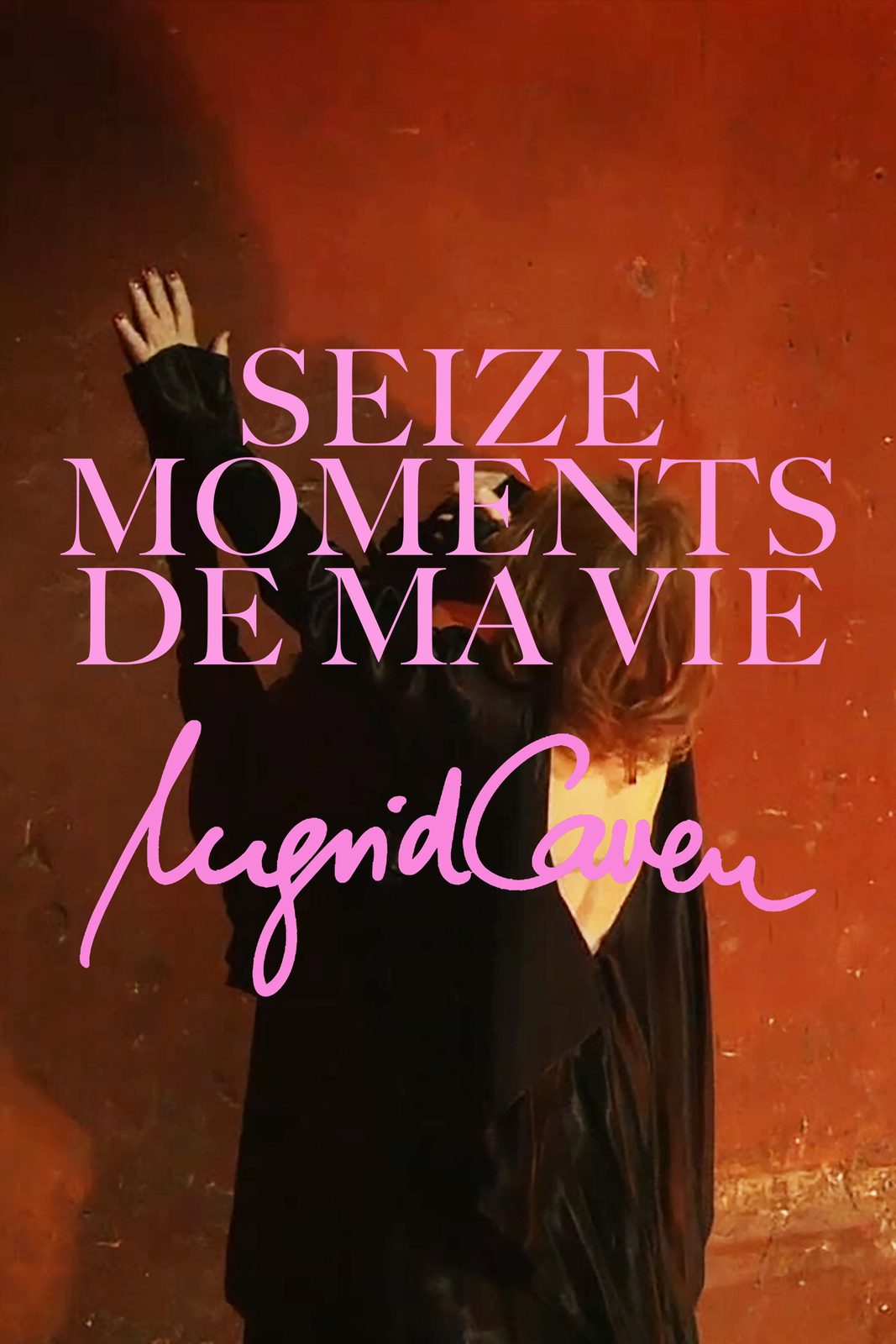 Sixteen Moments of My Life film poster