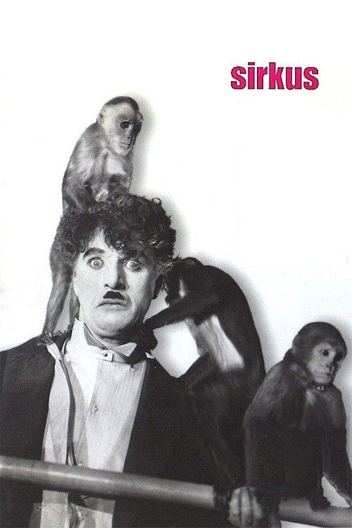 The Circus