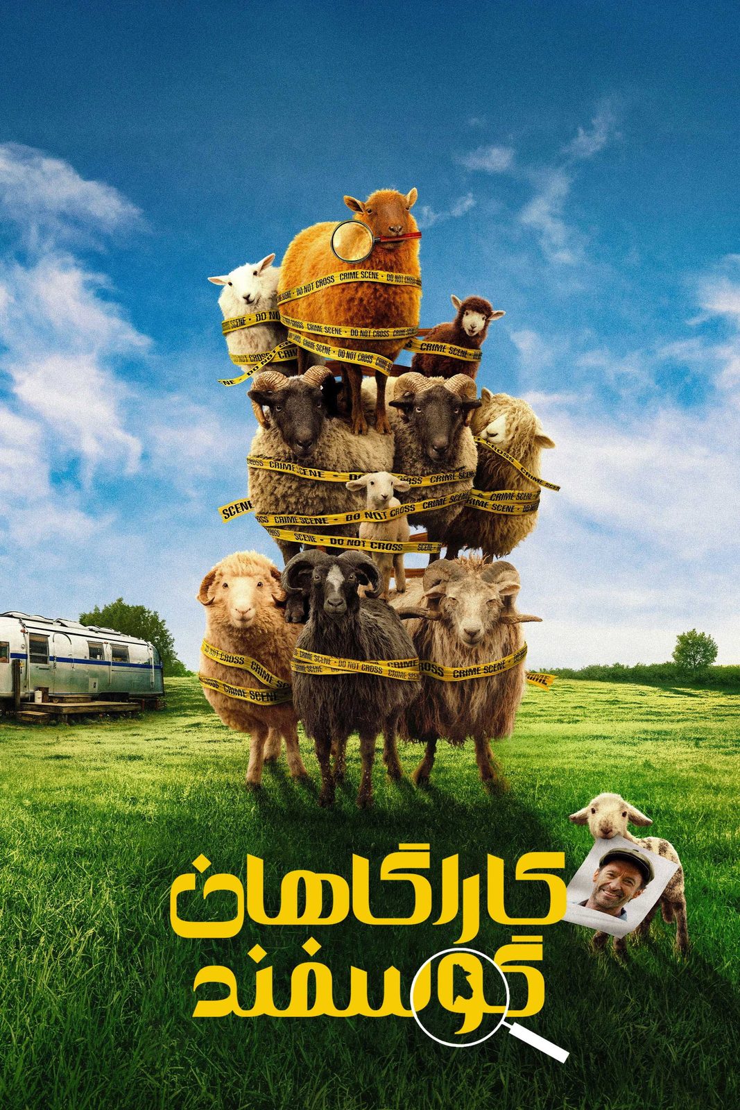 The Sheep Detectives