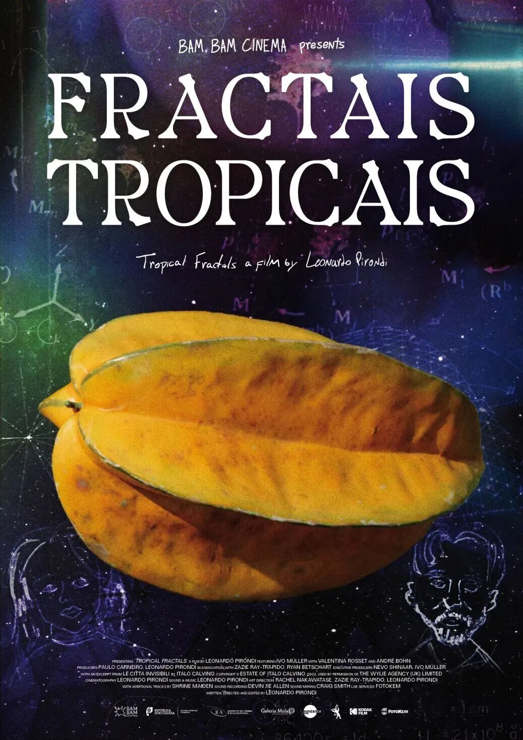 Tropical Fractals film poster