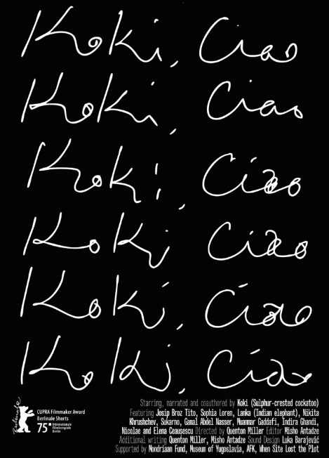 Koki, Ciao film poster