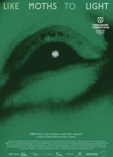 Like Moths to Light film poster