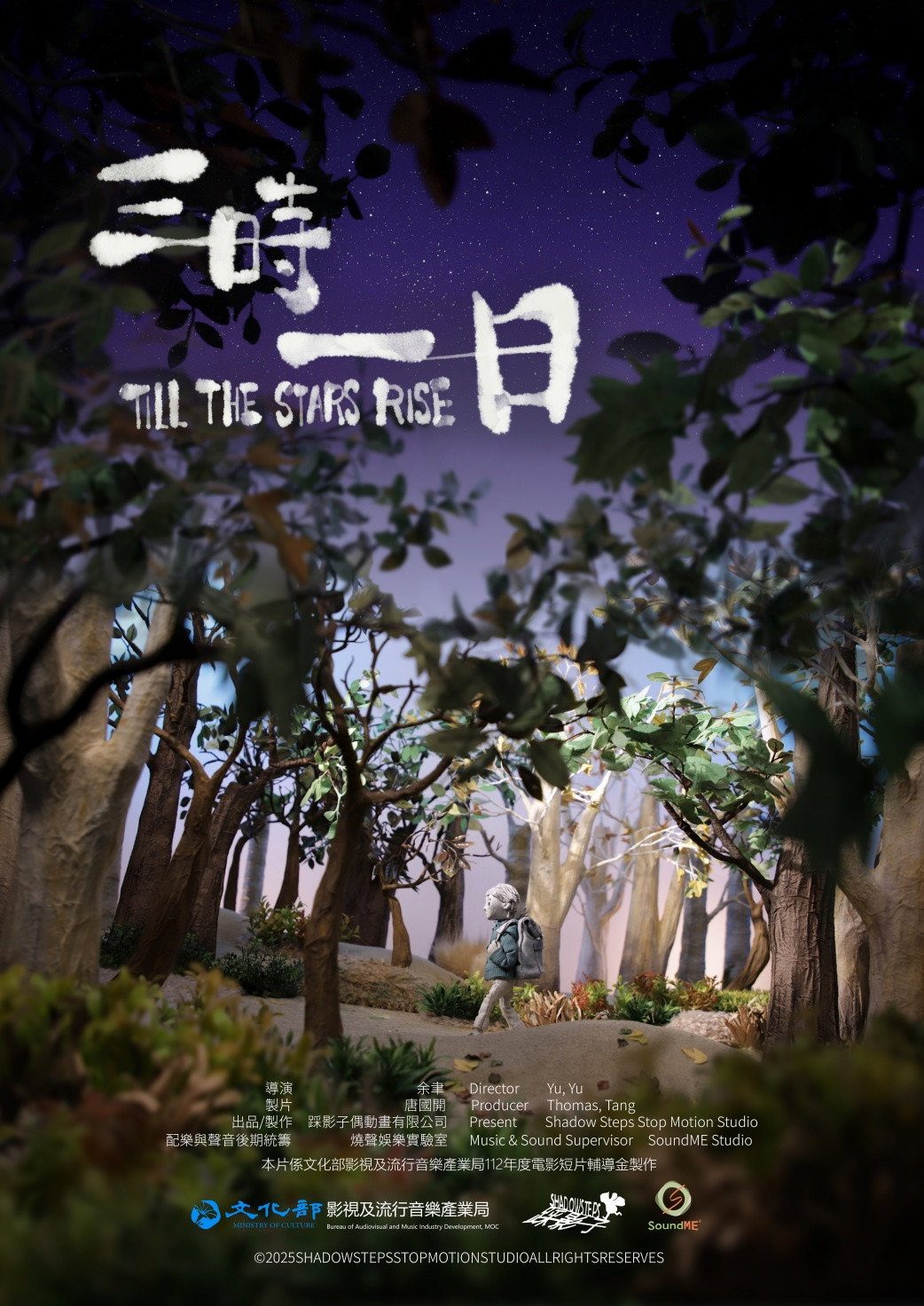 Till the Stars Rise film poster