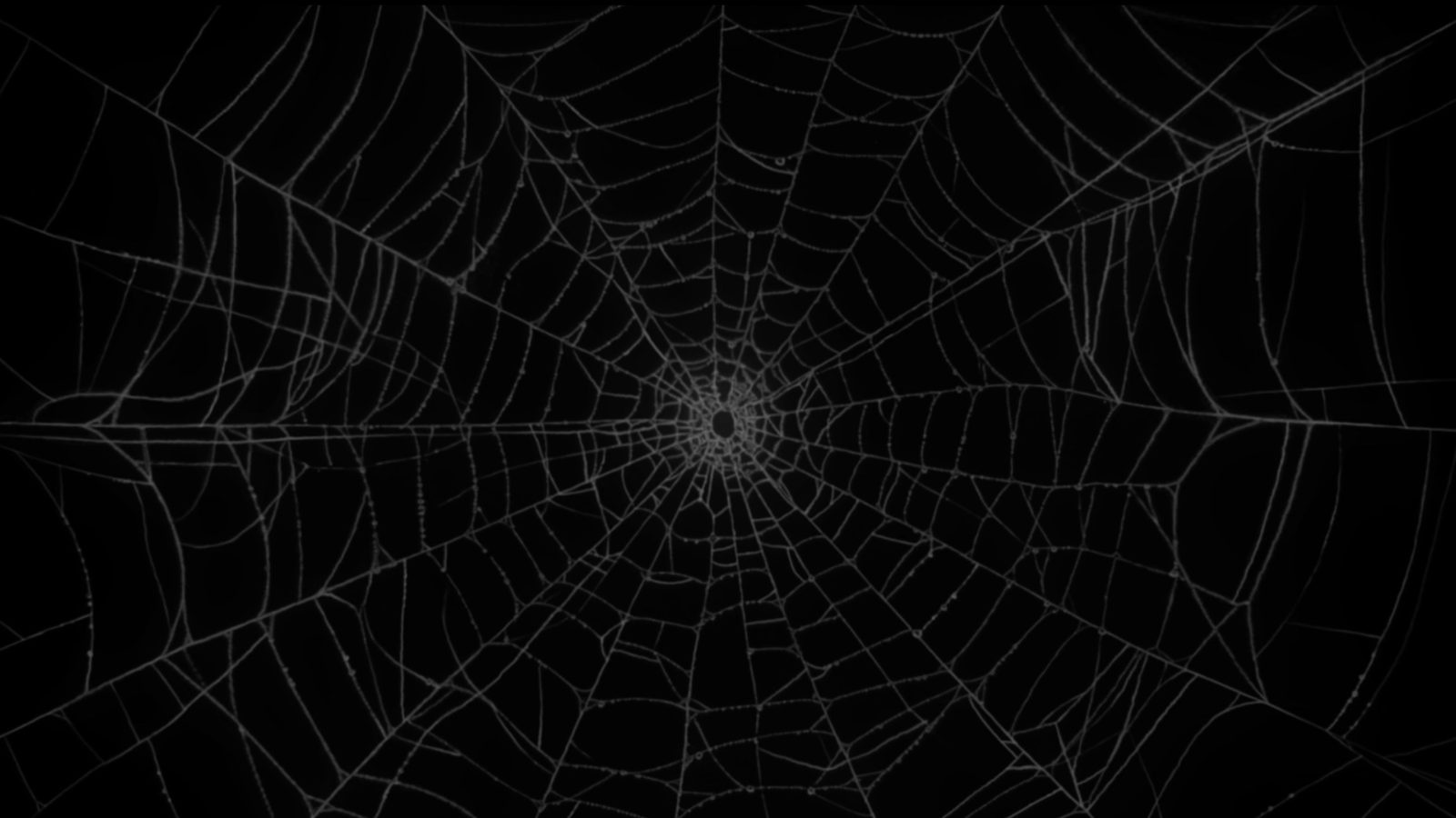 Soundweave 4