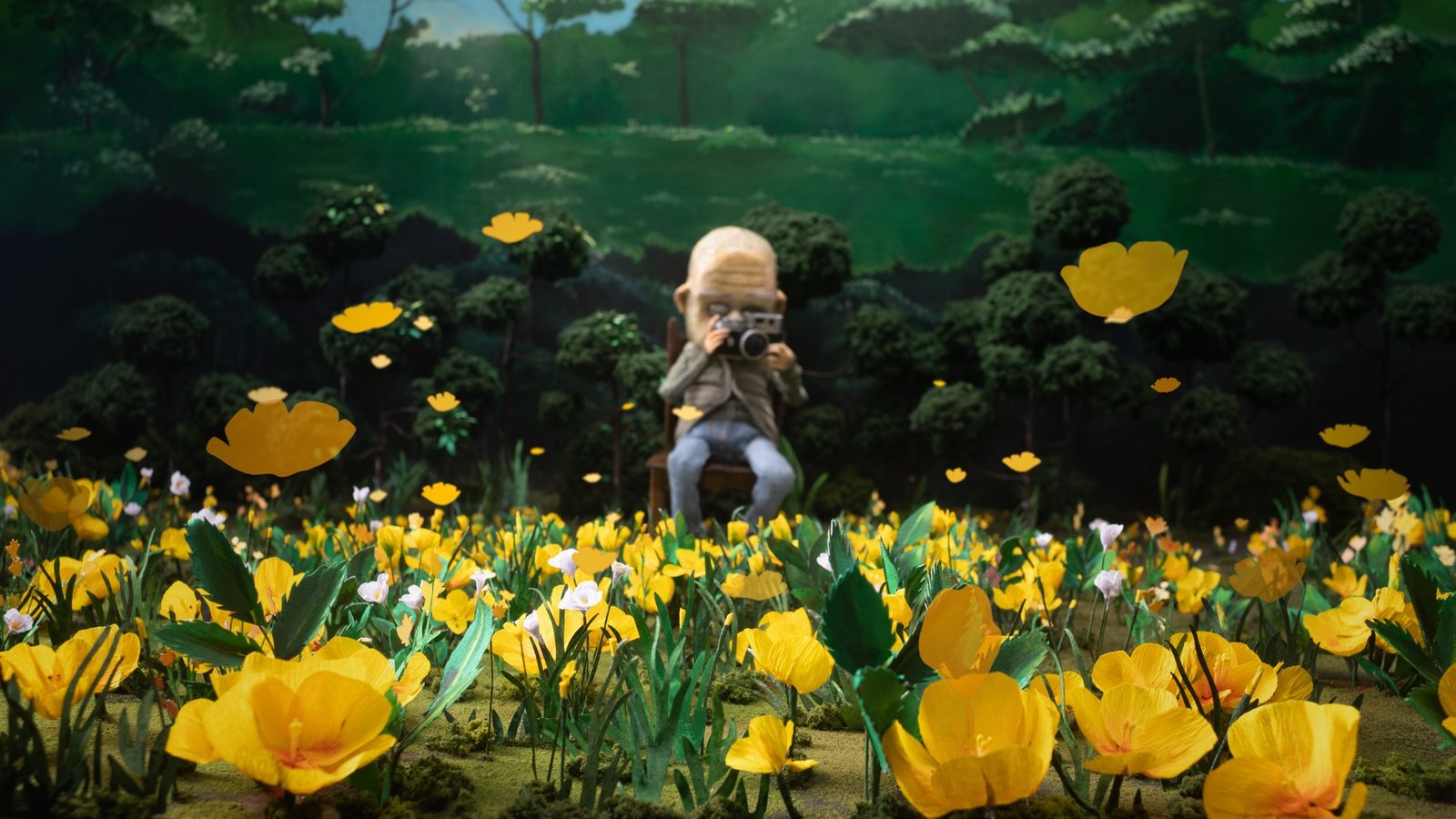 A Man Who Takes Pictures of Flowers 1