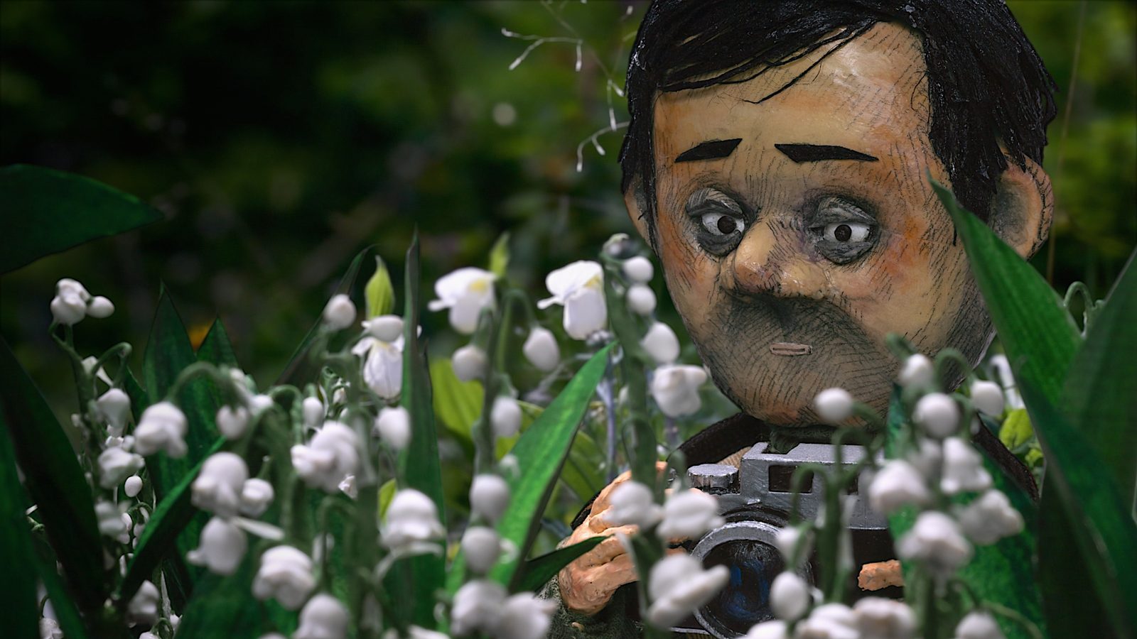 A Man Who Takes Pictures of Flowers 4