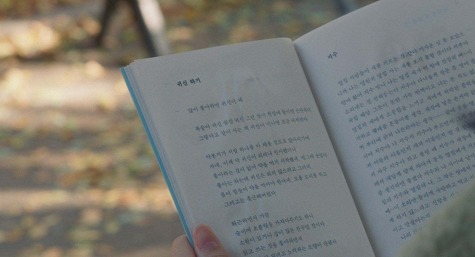 Poetry Syndrome 2