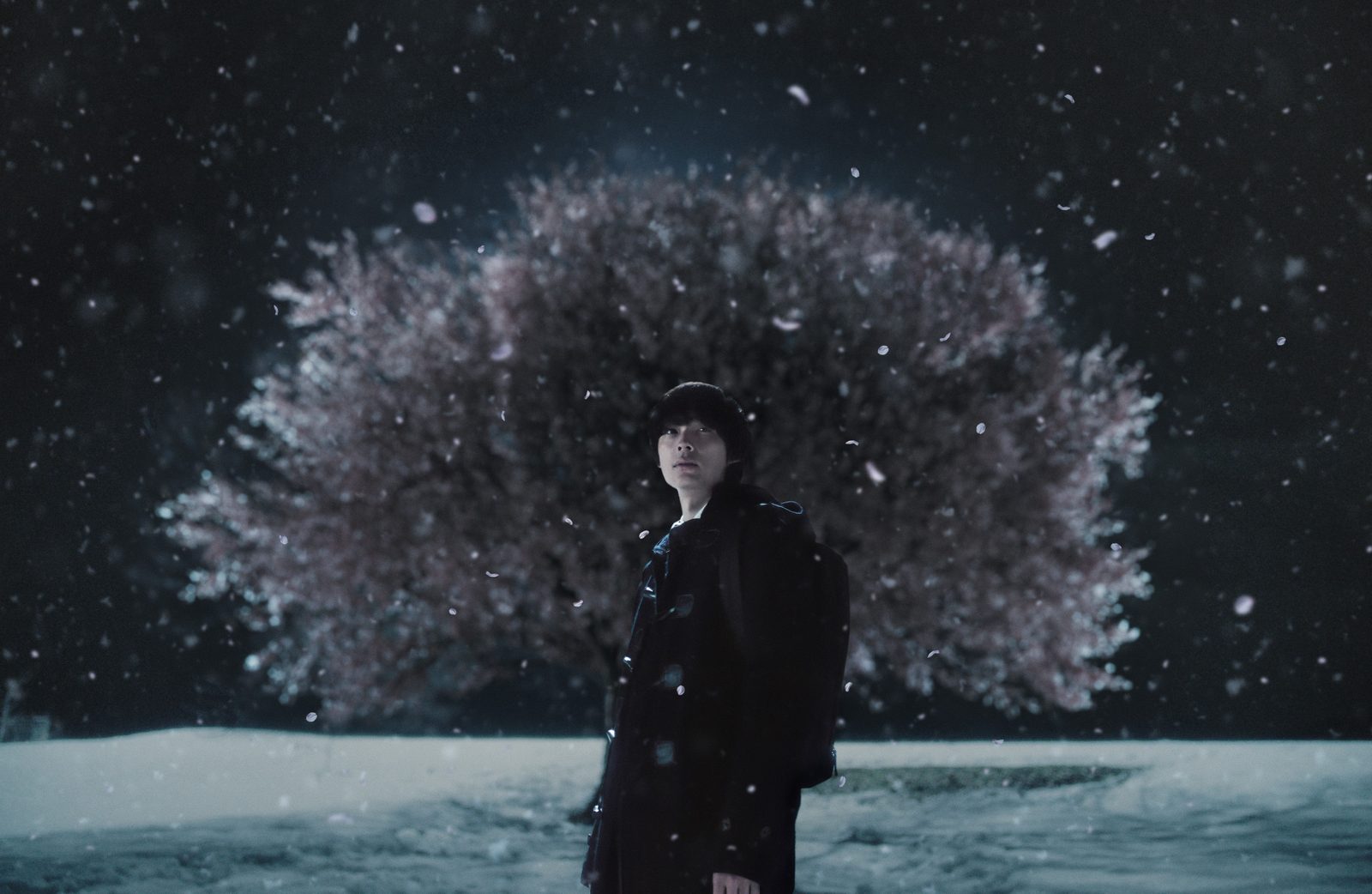 5 Centimeters Per Second 1
