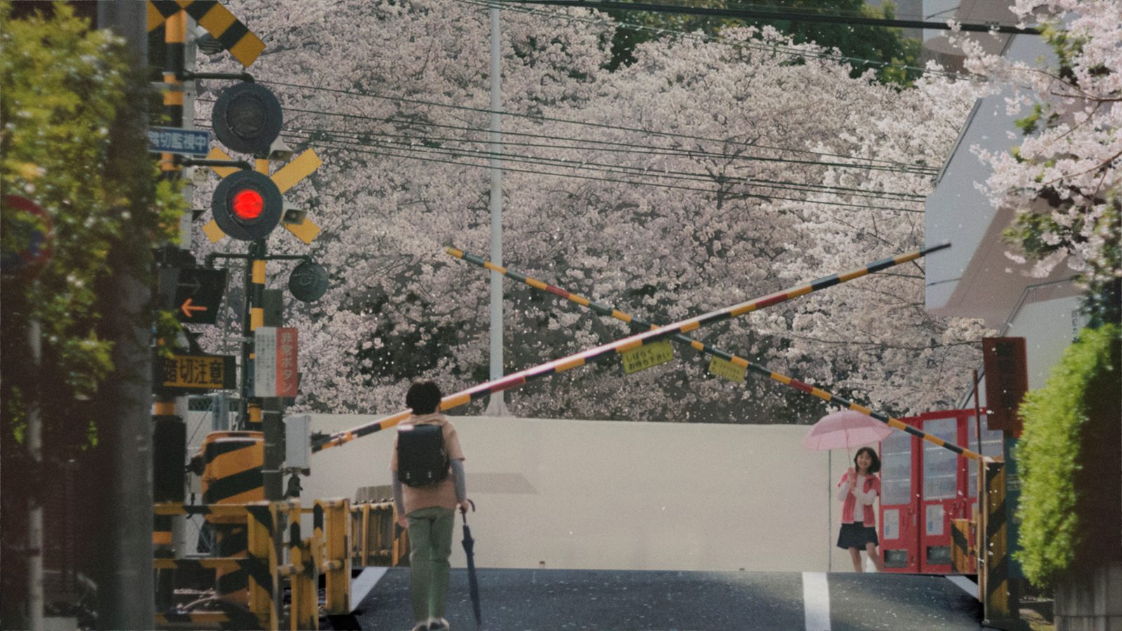 5 Centimeters Per Second 4