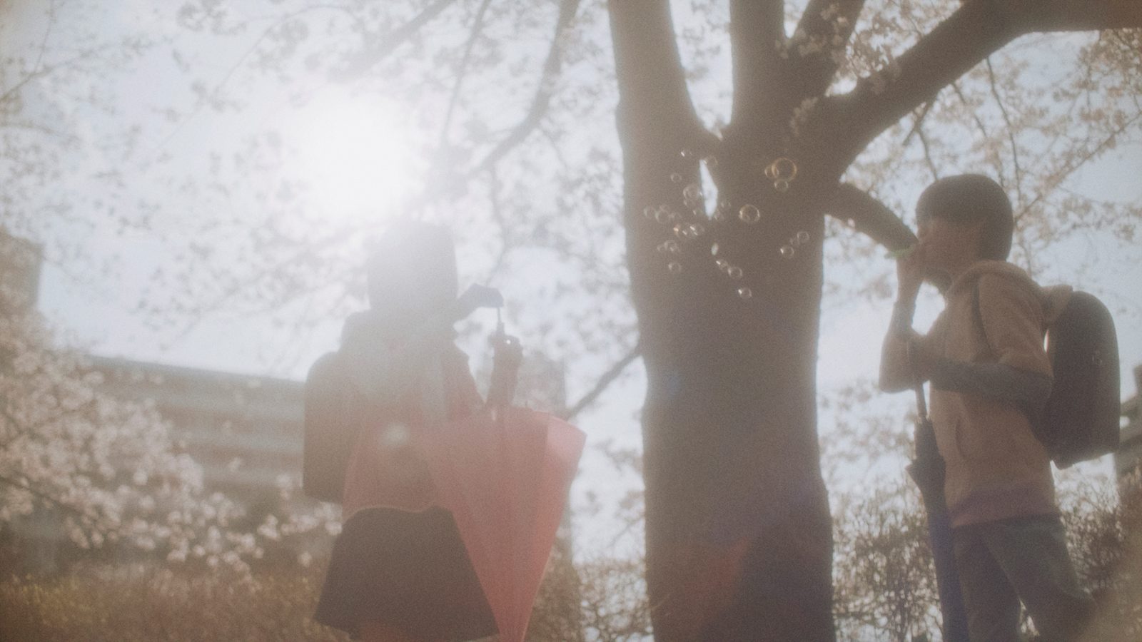 5 Centimeters Per Second 5