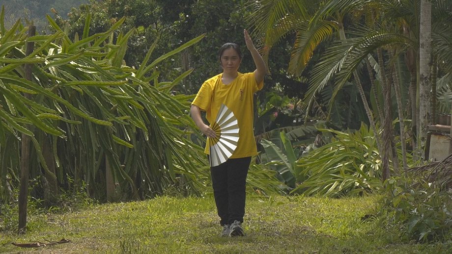 Okinawa Saudade 1