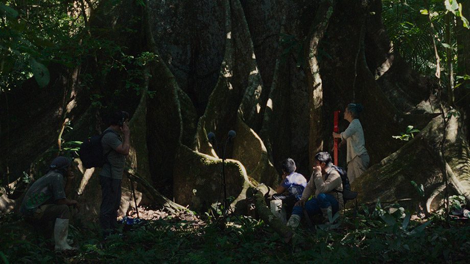 Far From the Trees 2