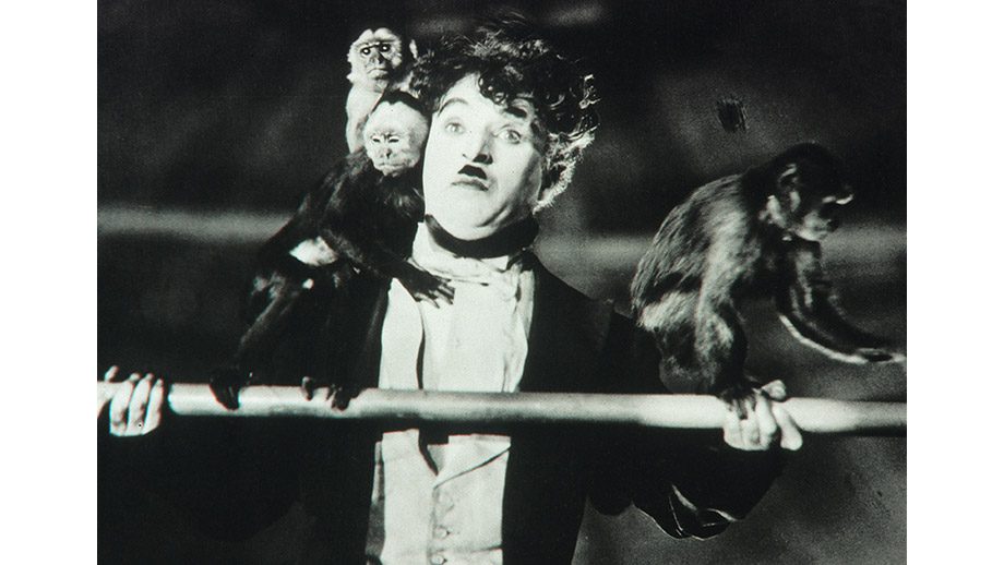 The Circus 3