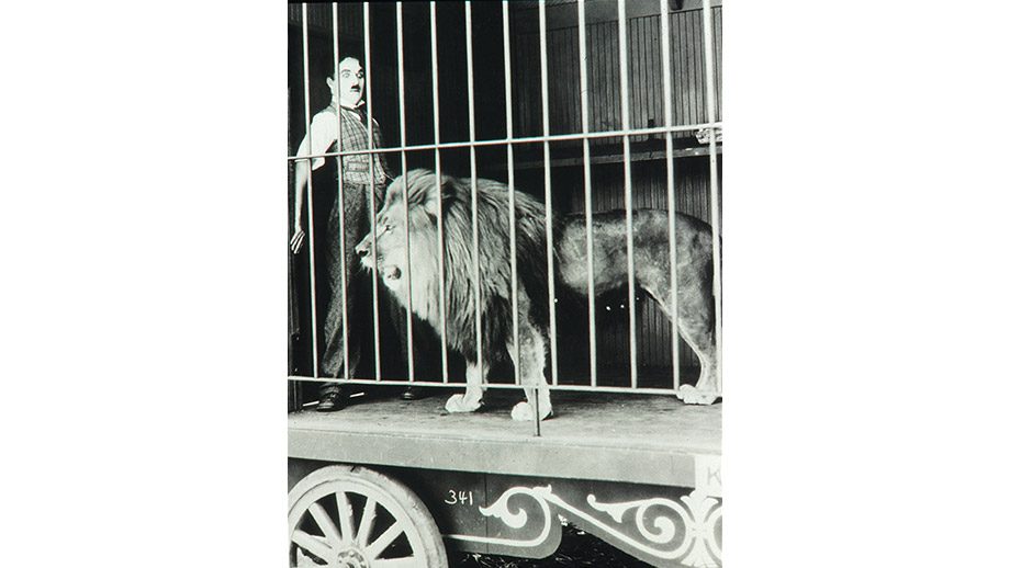 The Circus 5