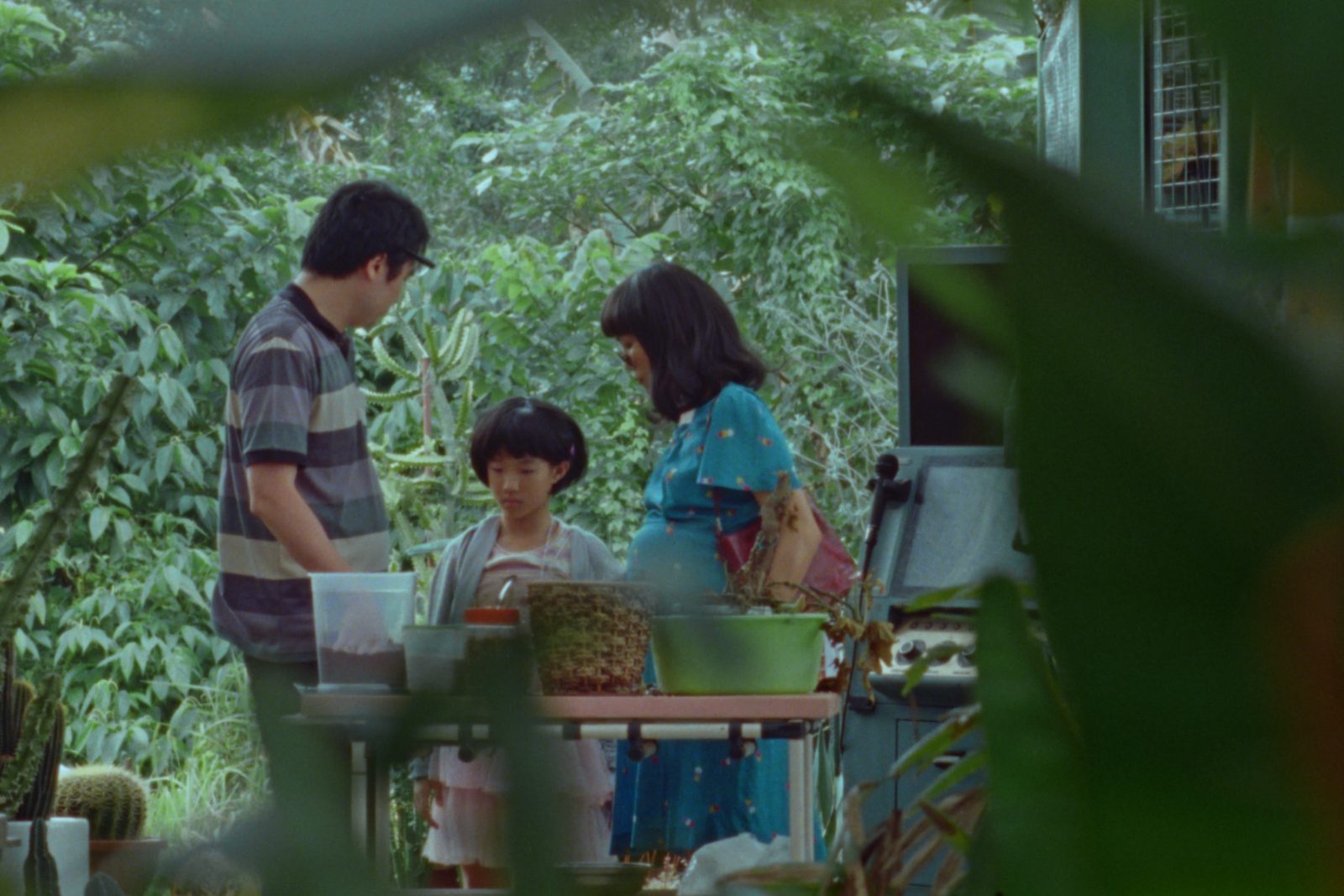 Hour of the Flower 2